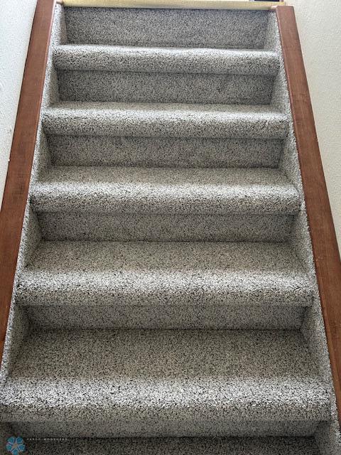 New Carpet