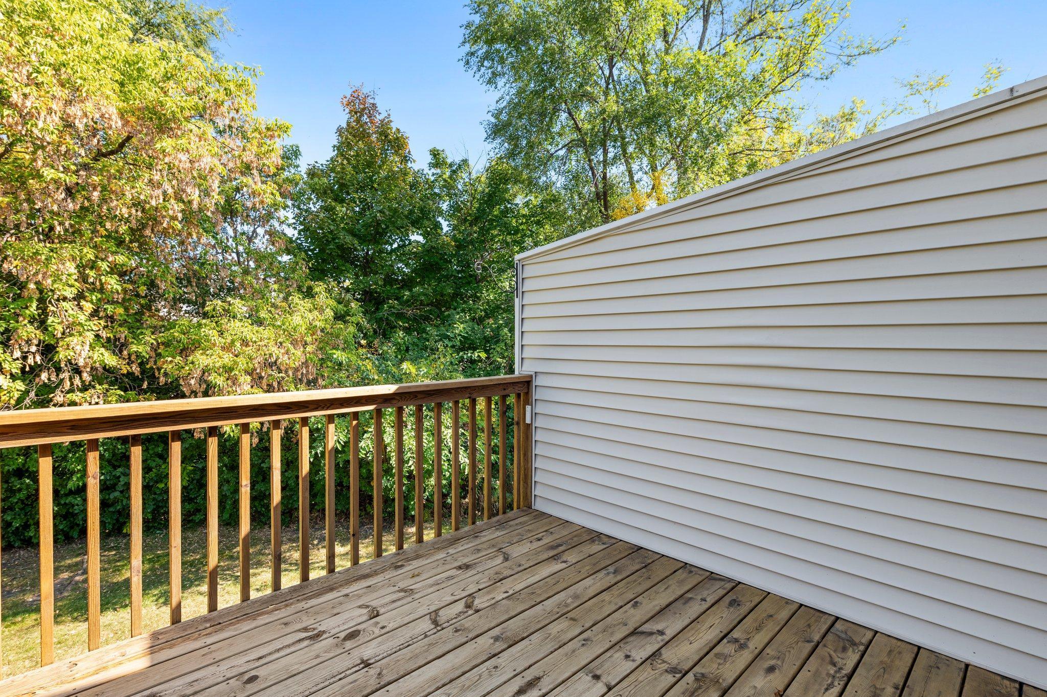 Trees in backyard 6318_Cavell_Ct-120.jpg