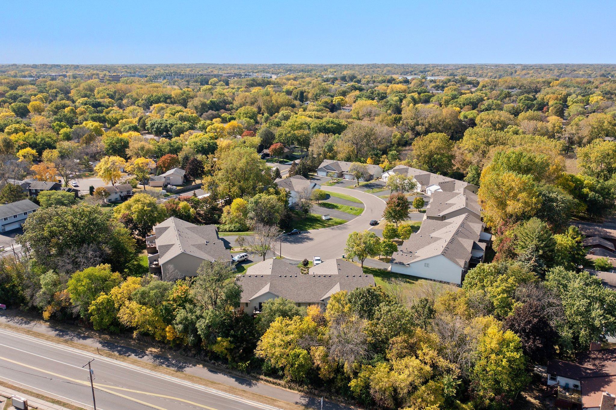 Drone view of the tree-lined neighborhood 6318_Cavell_Ct-24.jpg