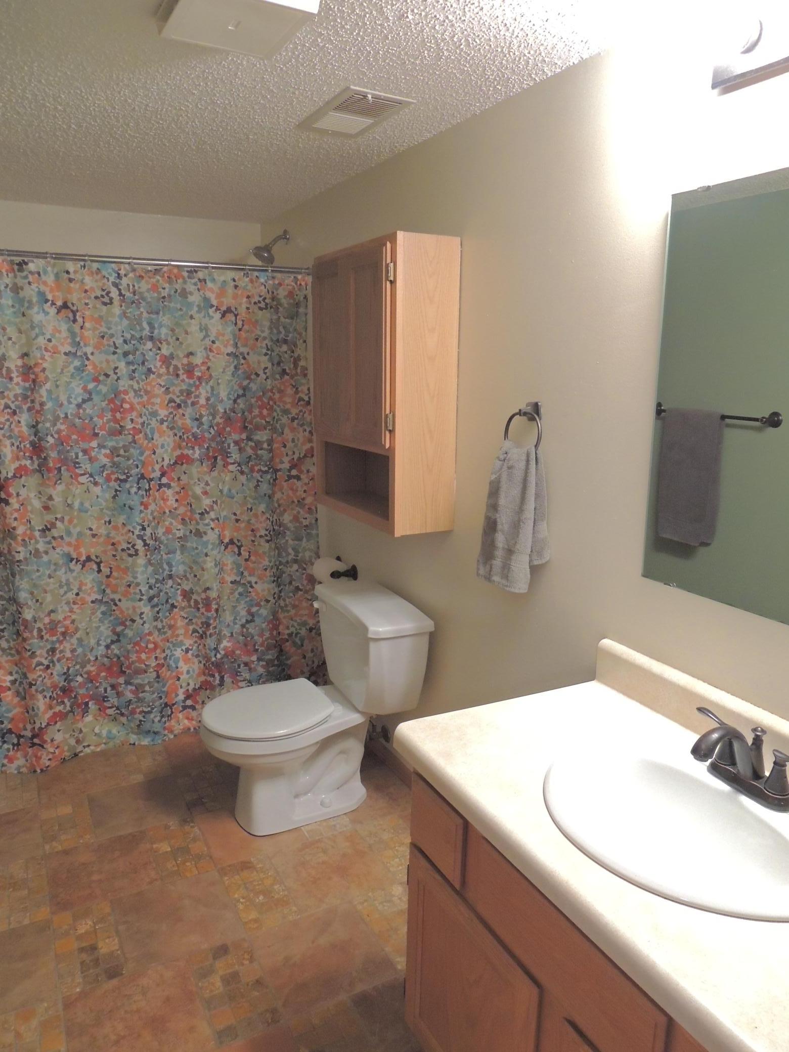 Lower Level Full Bath