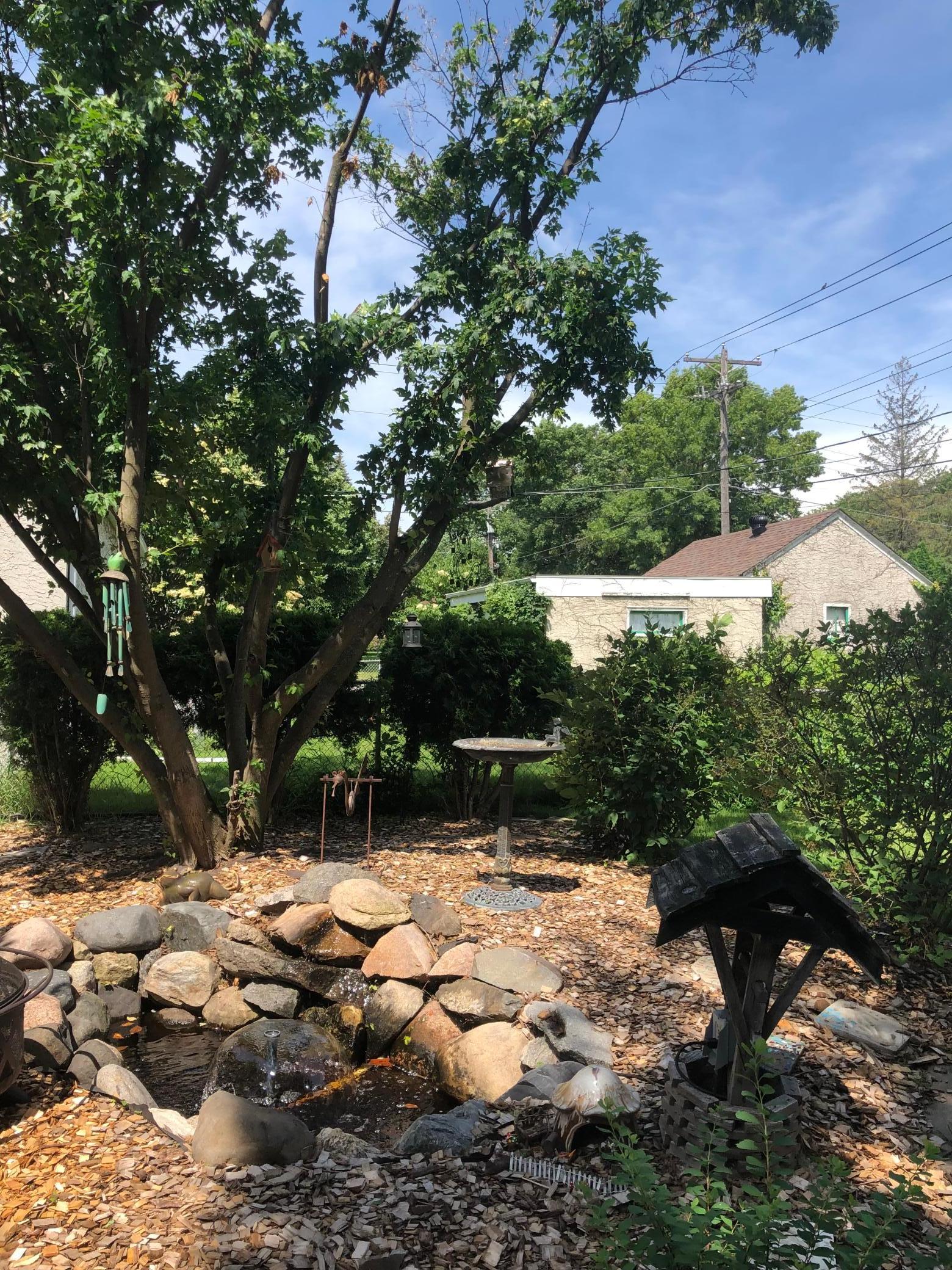 Backyard in summer.jpg