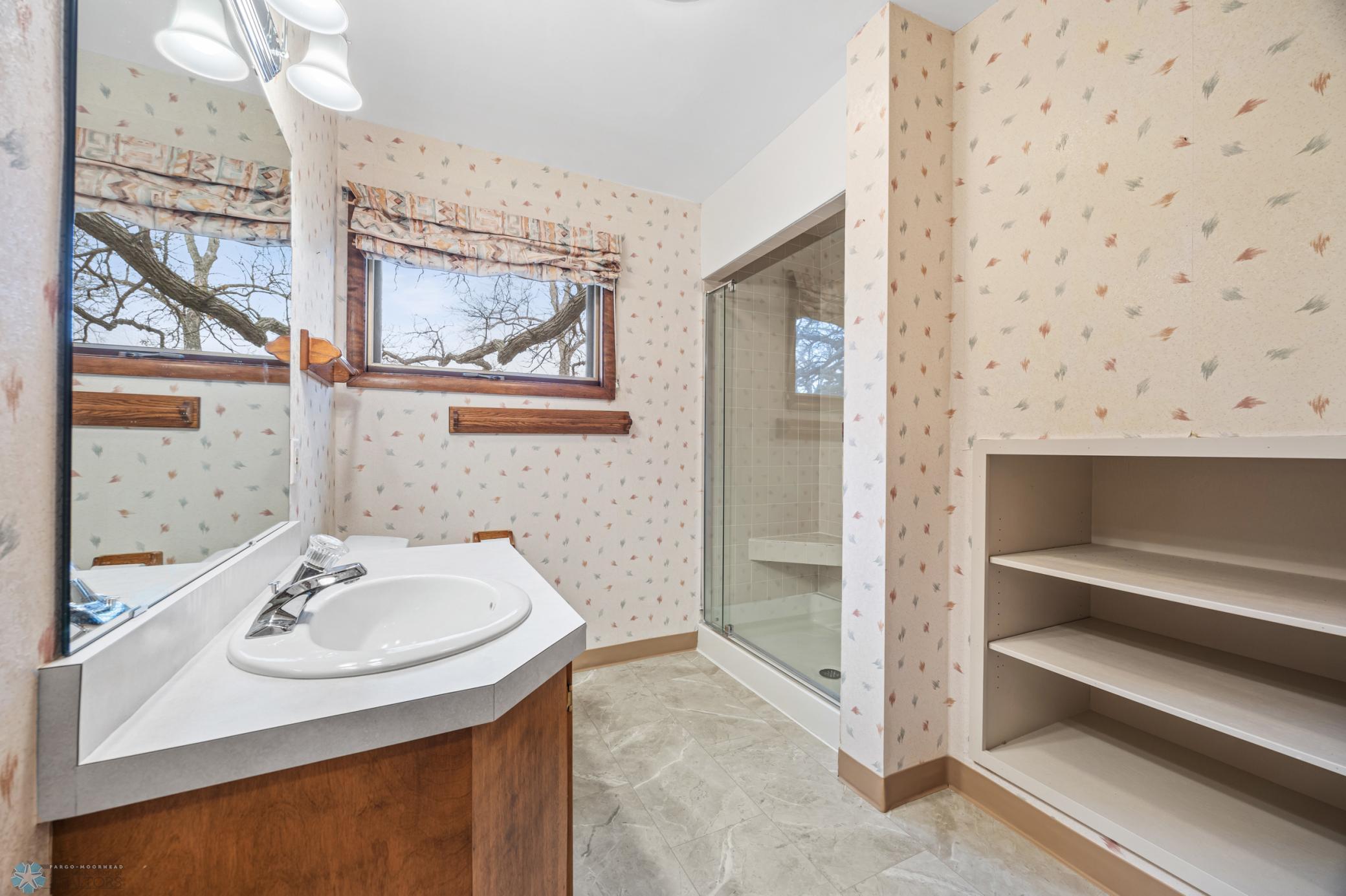 Lower Level Bathroom