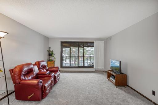 4710 58th Avenue N, 219, Minneapolis, MN 55429