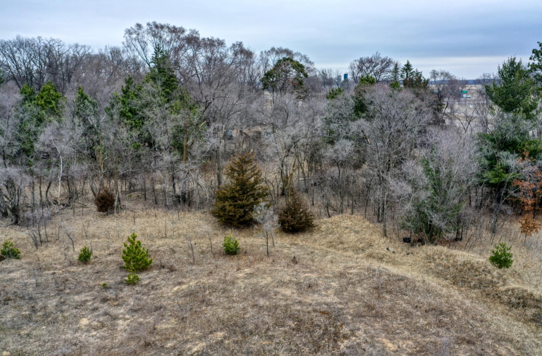 DJI_0610.jpg