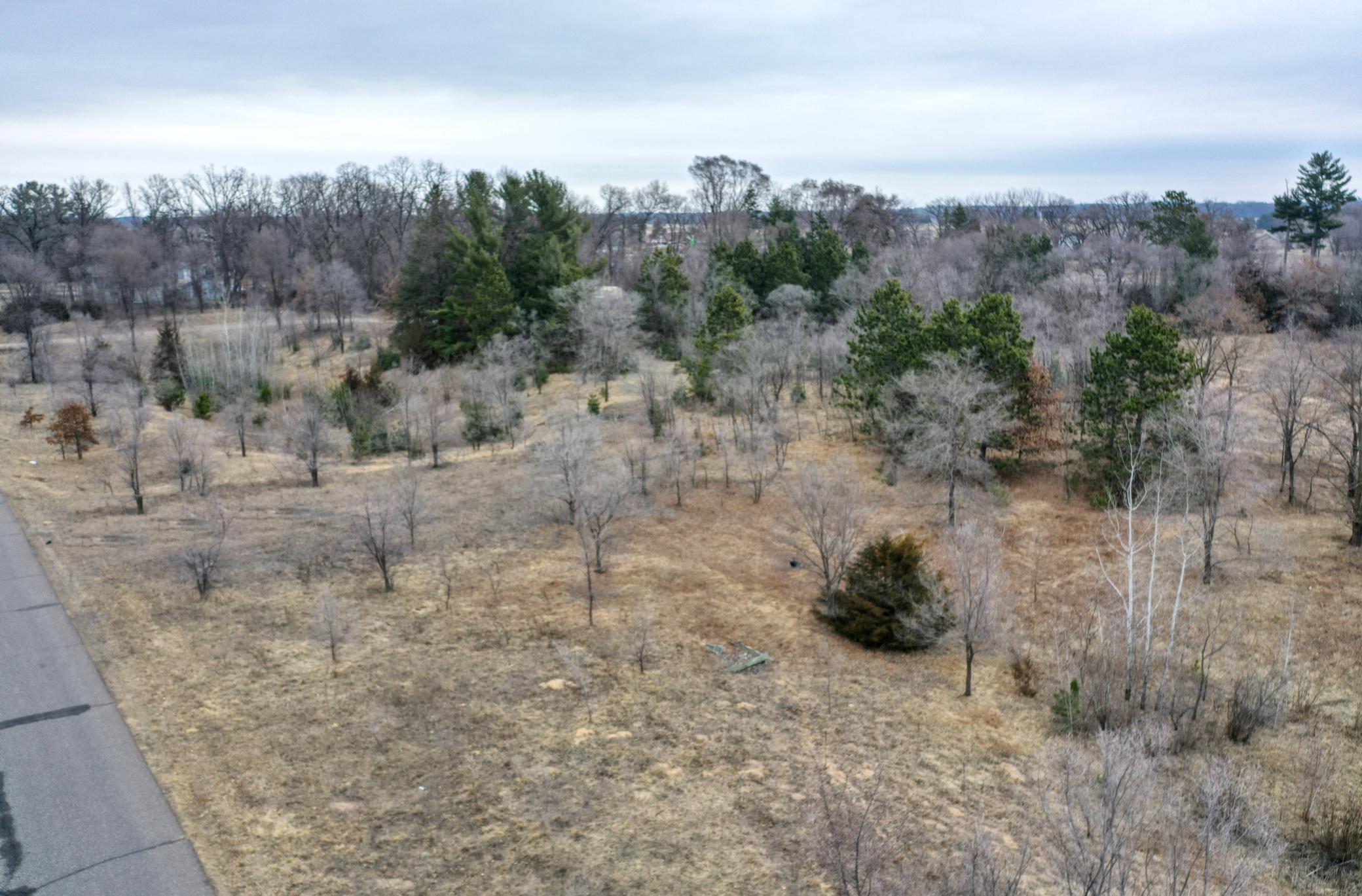 DJI_0625.jpg