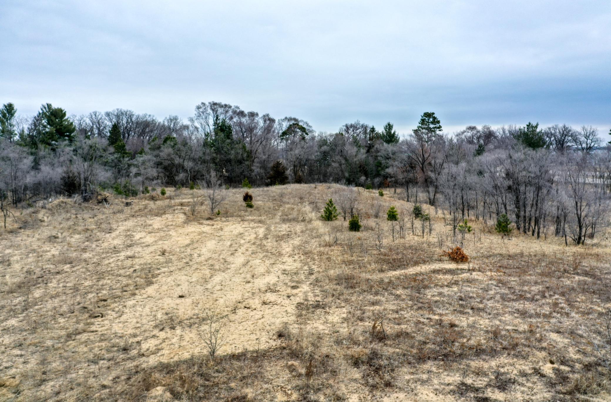 DJI_0605.jpg
