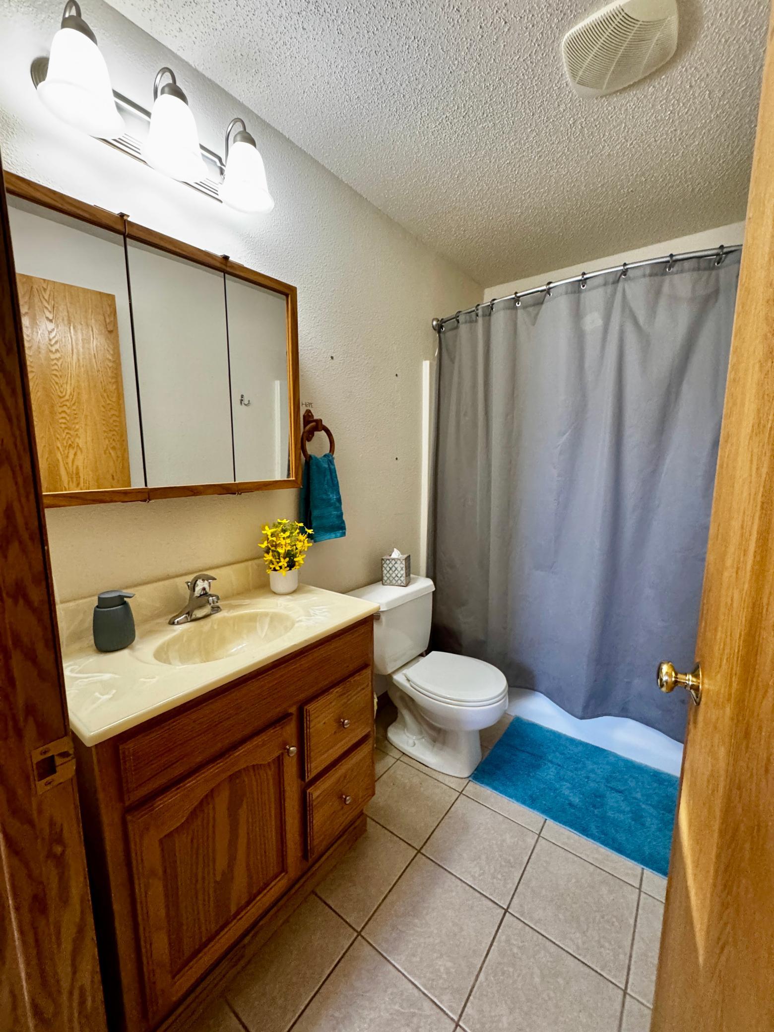 Lower level full bath