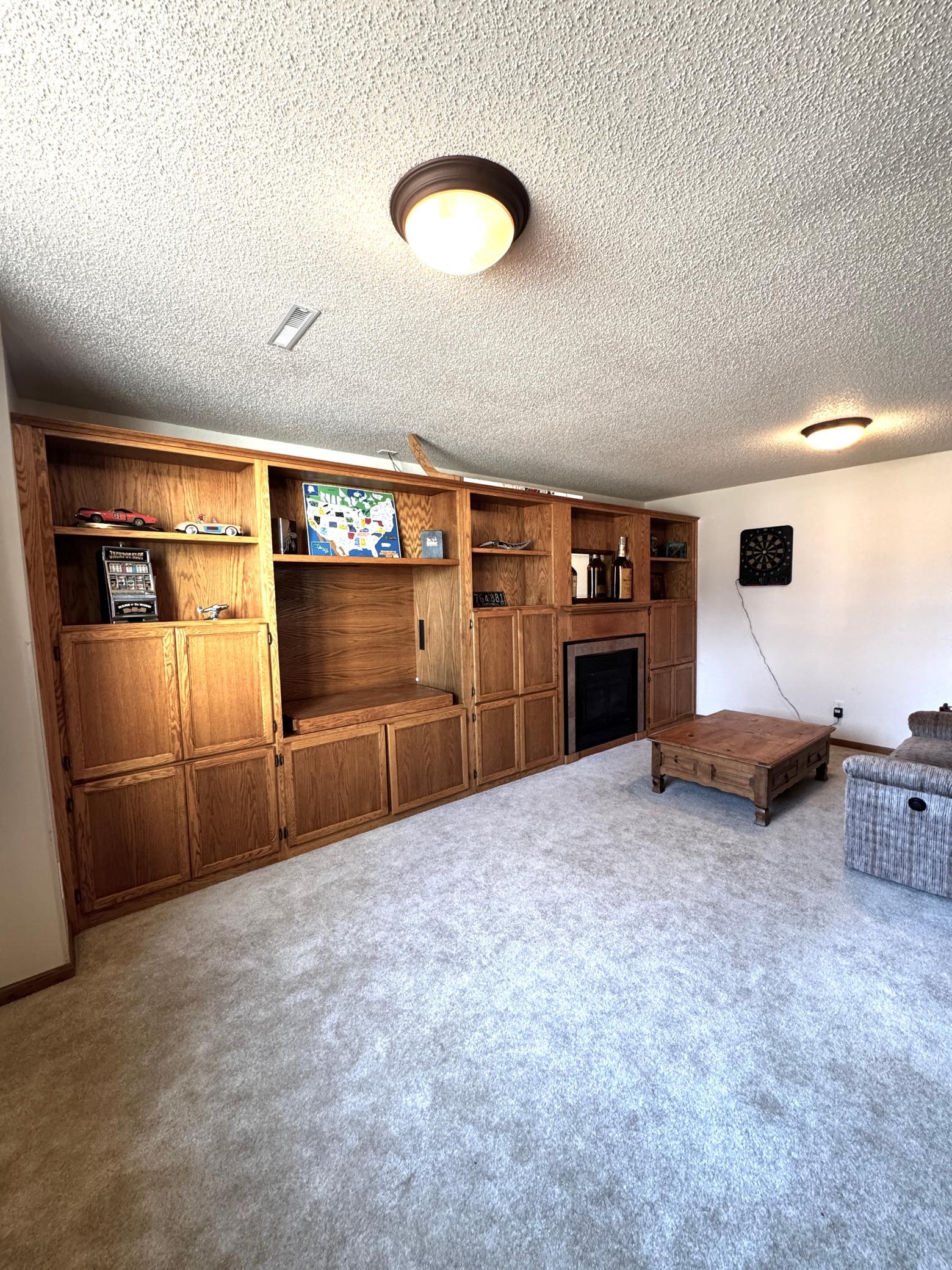Lower Level Built- In