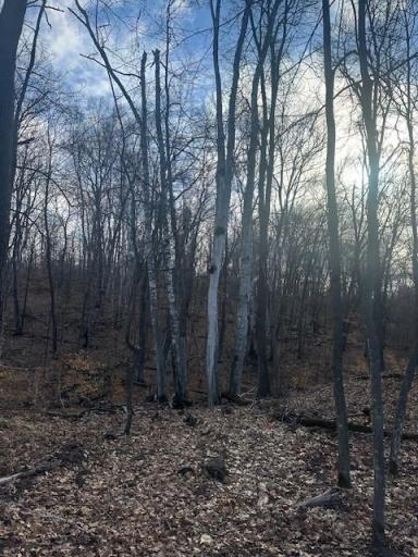 L3B2 Wilderness Parkway, Crosslake, MN 56442