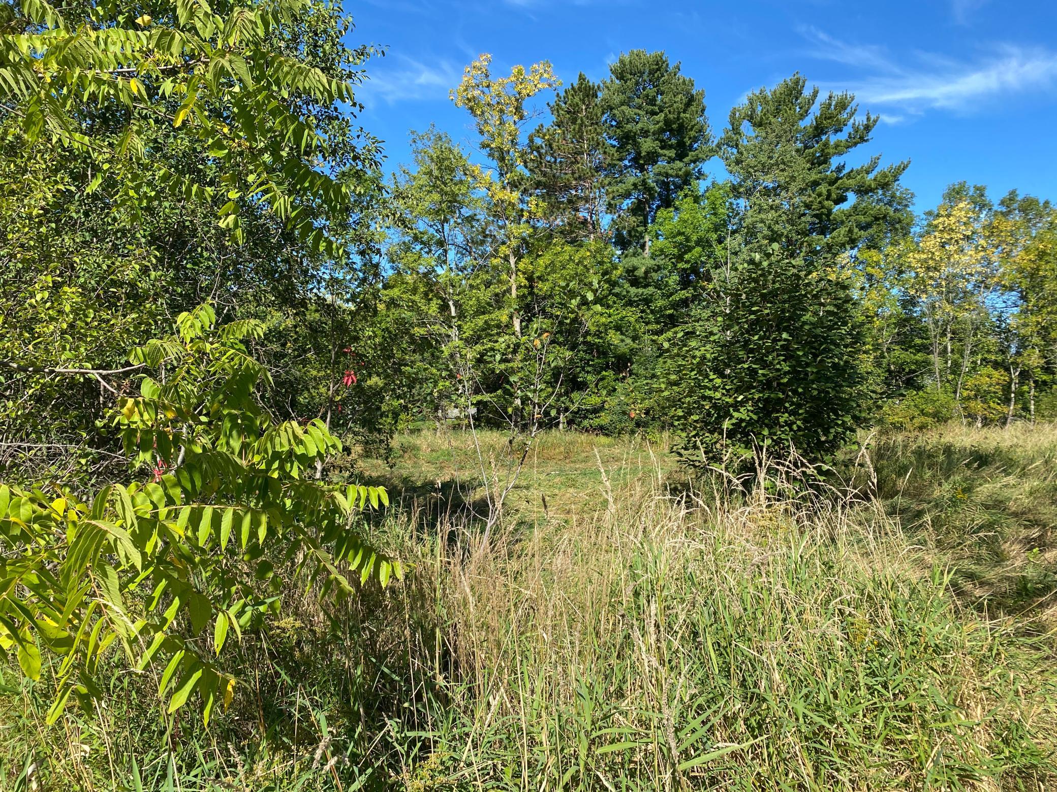 3-acre lot view 3.JPG