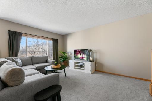 14232 Fountain Hills Ct SE, Prior Lake, MN 55372_1501.jpg