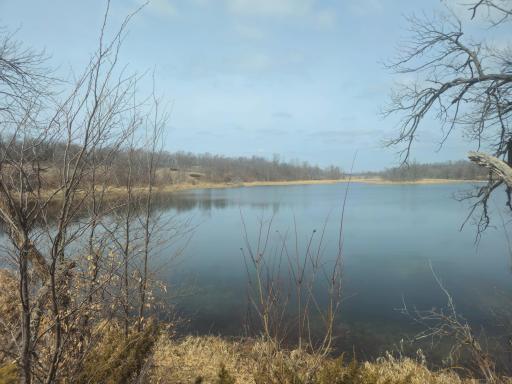 xxx Sybil Lake Road, Vergas, MN 56587