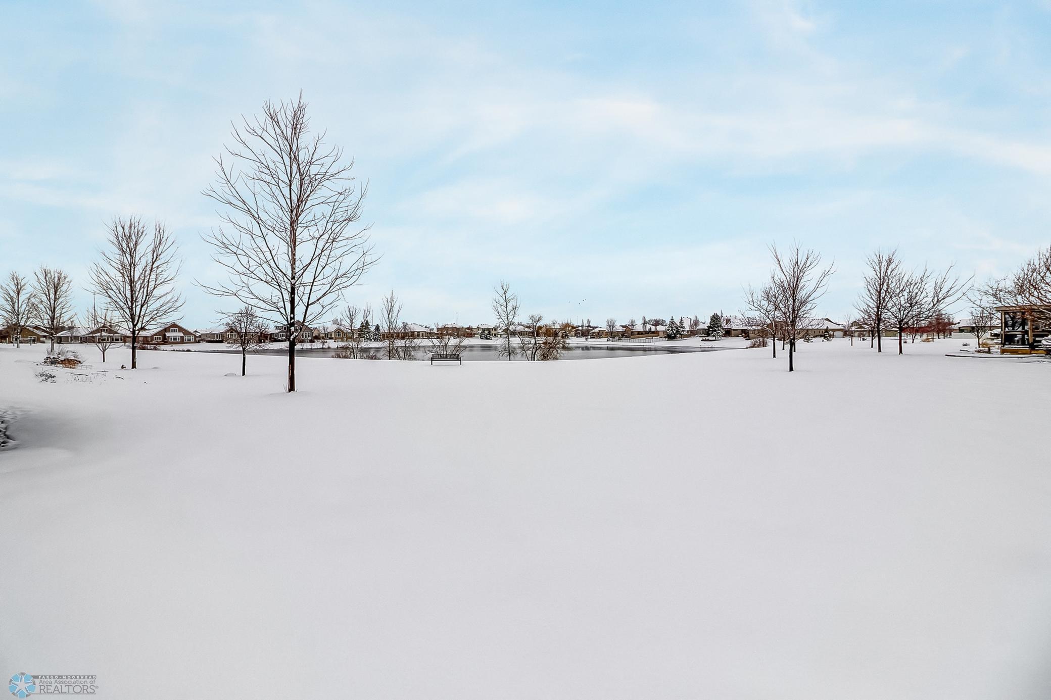 Backyard pond1_1-3264.jpg