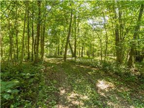 xxx 186th Ave Lot 4, Balsam Lake, WI 54810