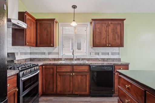 9338 Golden Pond Lane N, Monticello, MN 55362