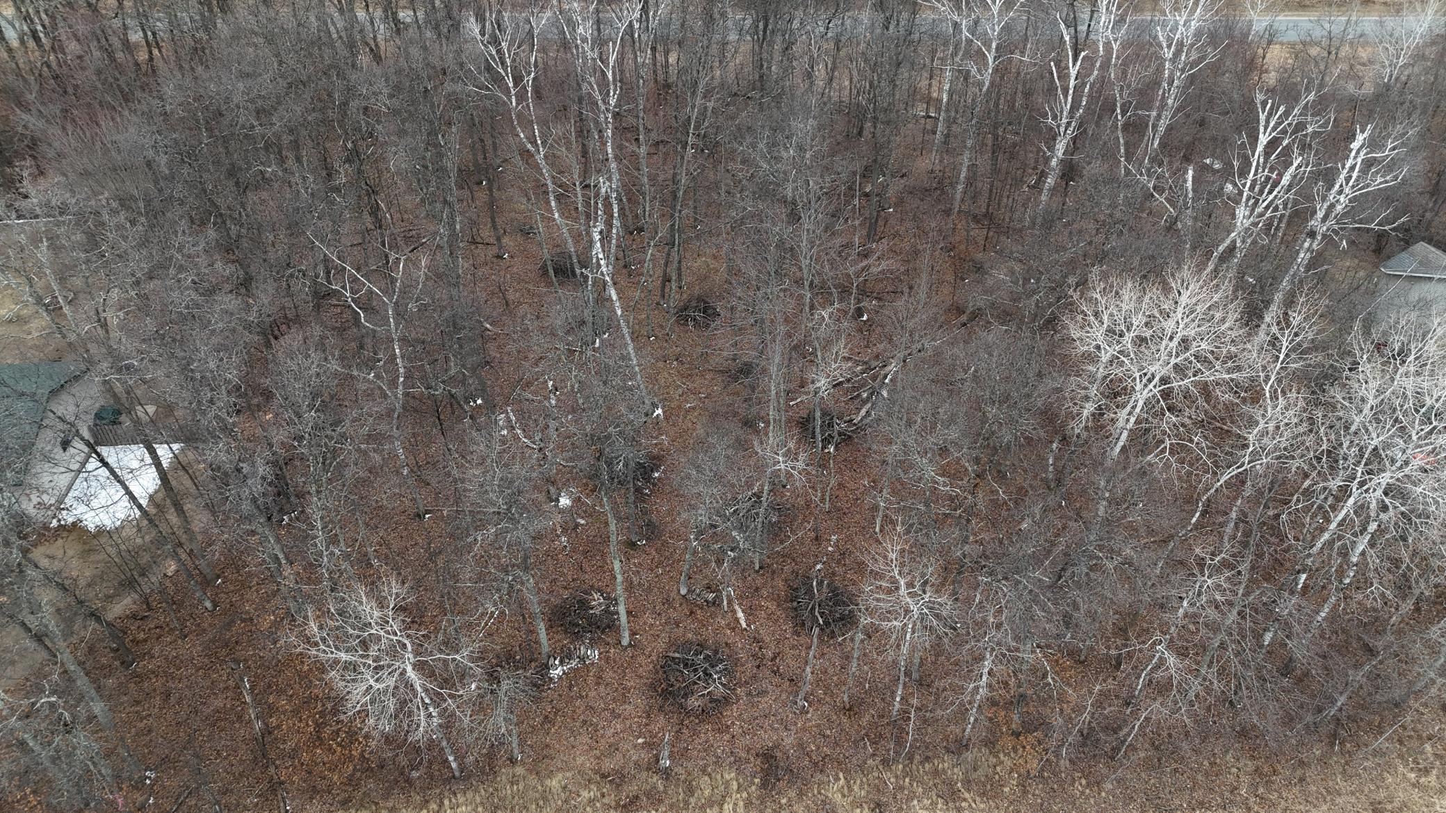 DJI_20250401102455_0159_D.JPG