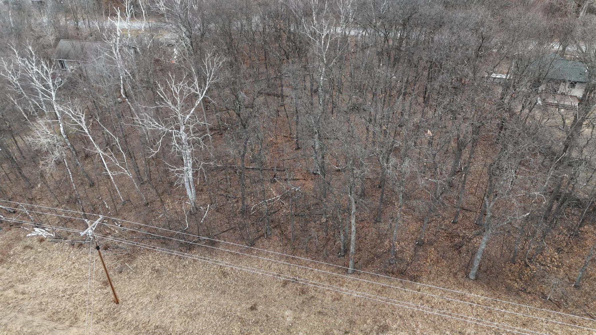 DJI_20250401102623_0161_D.JPG