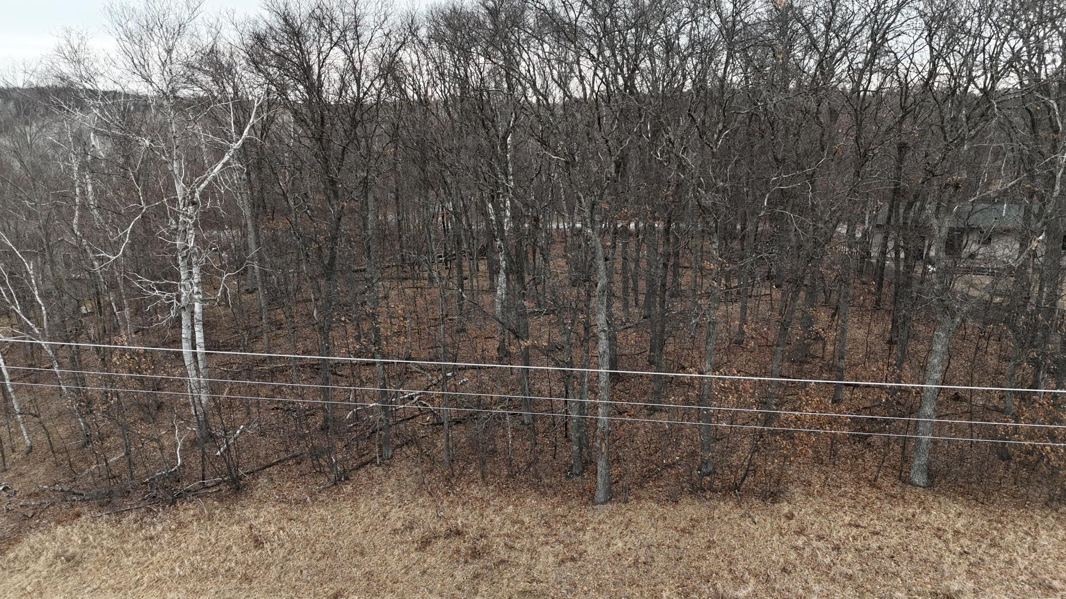DJI_20250401103448_0166_D.JPG