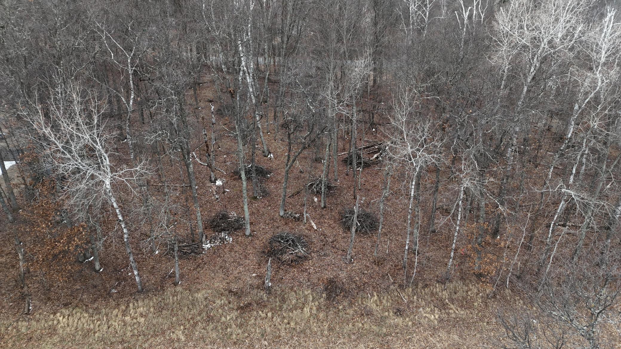 DJI_20250401102431_0158_D.JPG
