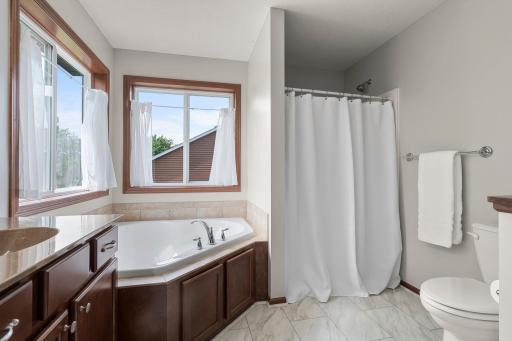 Full primary bathroom - Separate tub and shower