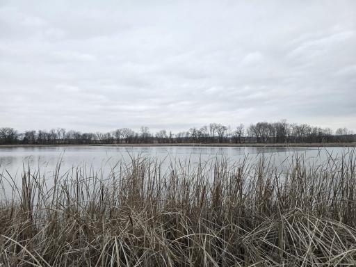 16 Angelfish Avenue, Avon, MN 56310