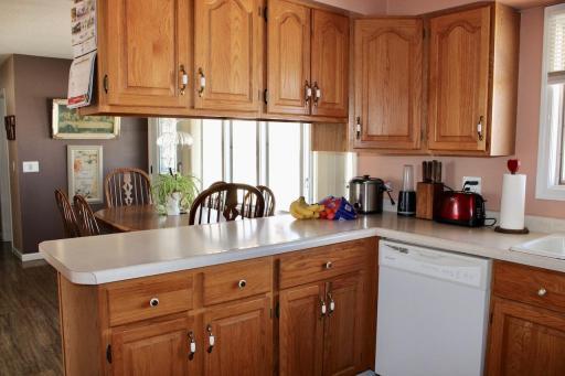 1404 Birch Lane Drive, Thief River Falls, MN 56701