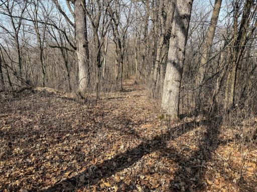 27466 County 5 Boulevard, Red Wing, MN 55066