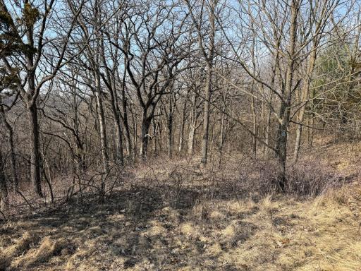 27466 County 5 Boulevard, Red Wing, MN 55066
