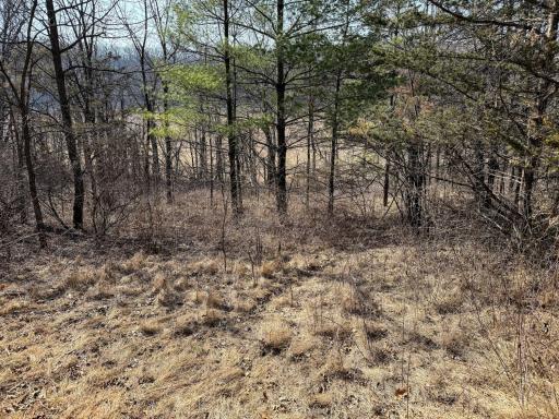 27466 County 5 Boulevard, Red Wing, MN 55066