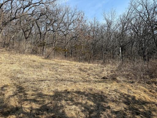 27466 County 5 Boulevard, Red Wing, MN 55066