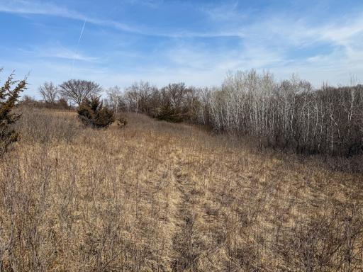 27466 County 5 Boulevard, Red Wing, MN 55066