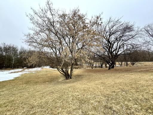 Photo for 58016 County Road 2, Warroad, MN 56763 - Listing #6695121 58016 County Road 2, Warroad, MN 56763