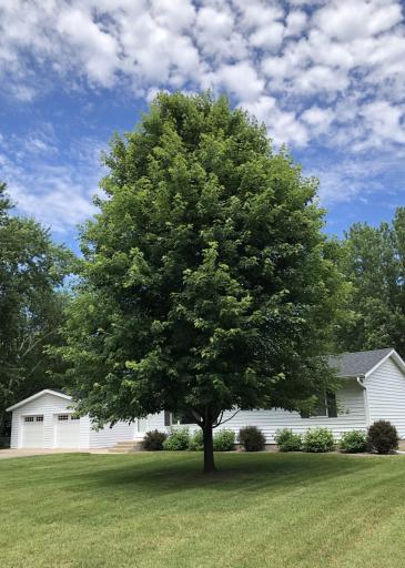 12716 316th Avenue NW, Princeton, MN 55371