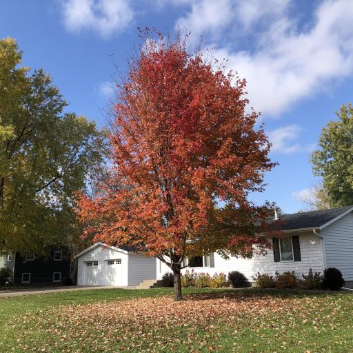 12716 316th Avenue NW, Princeton, MN 55371