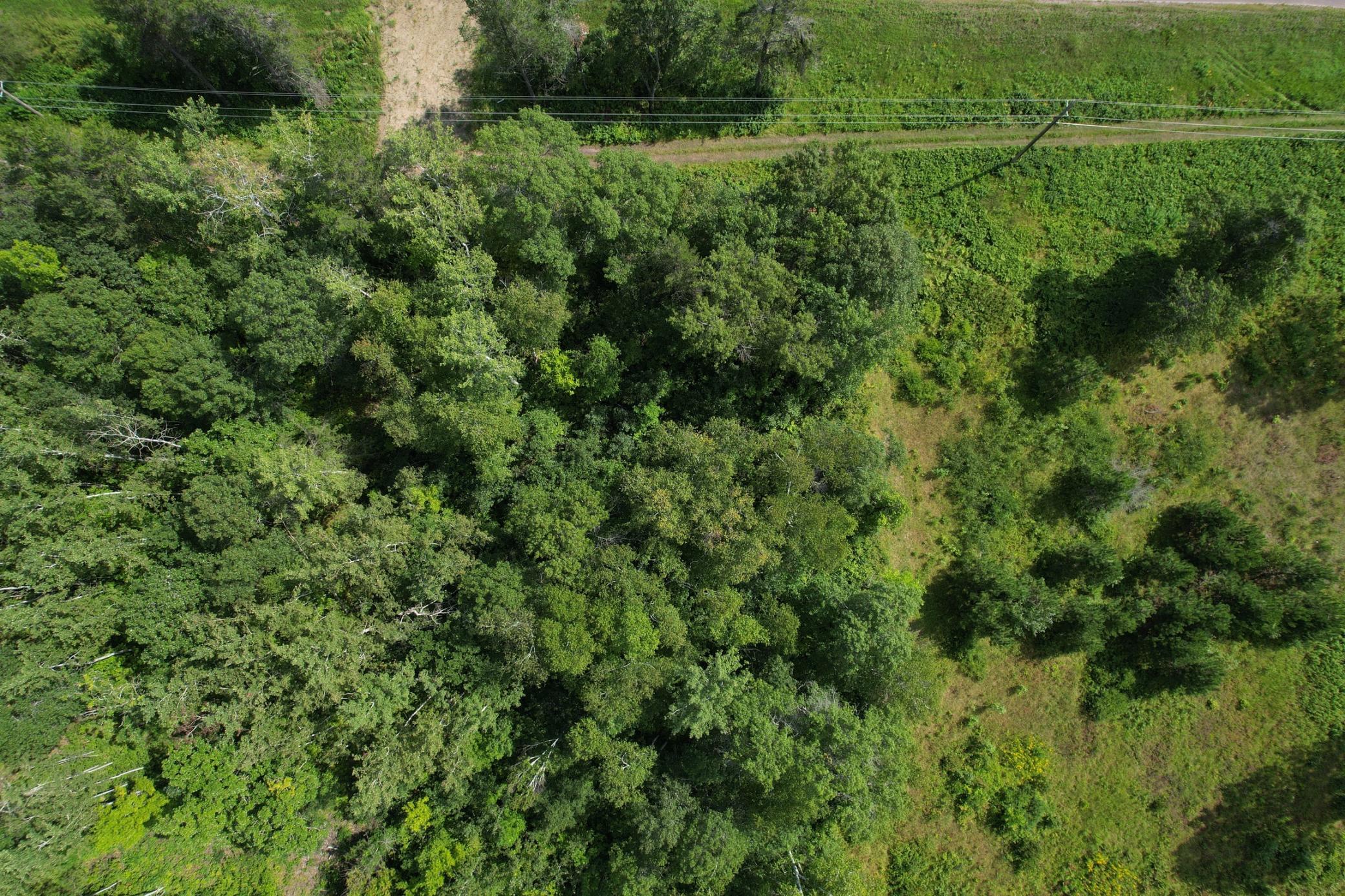 DJI_0565.JPG
