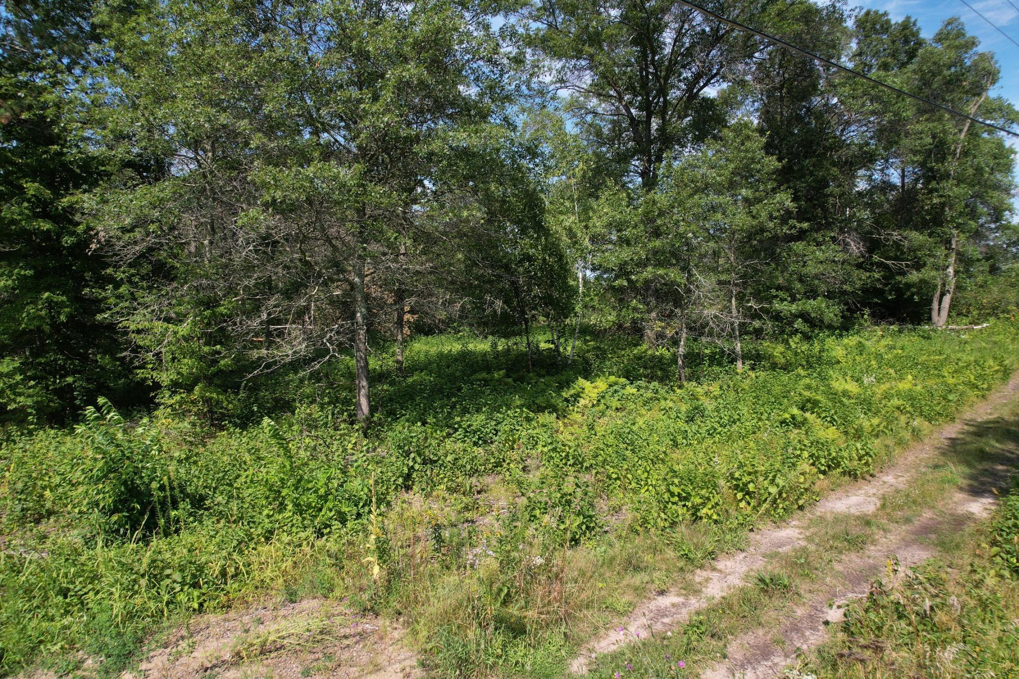 DJI_0490.JPG