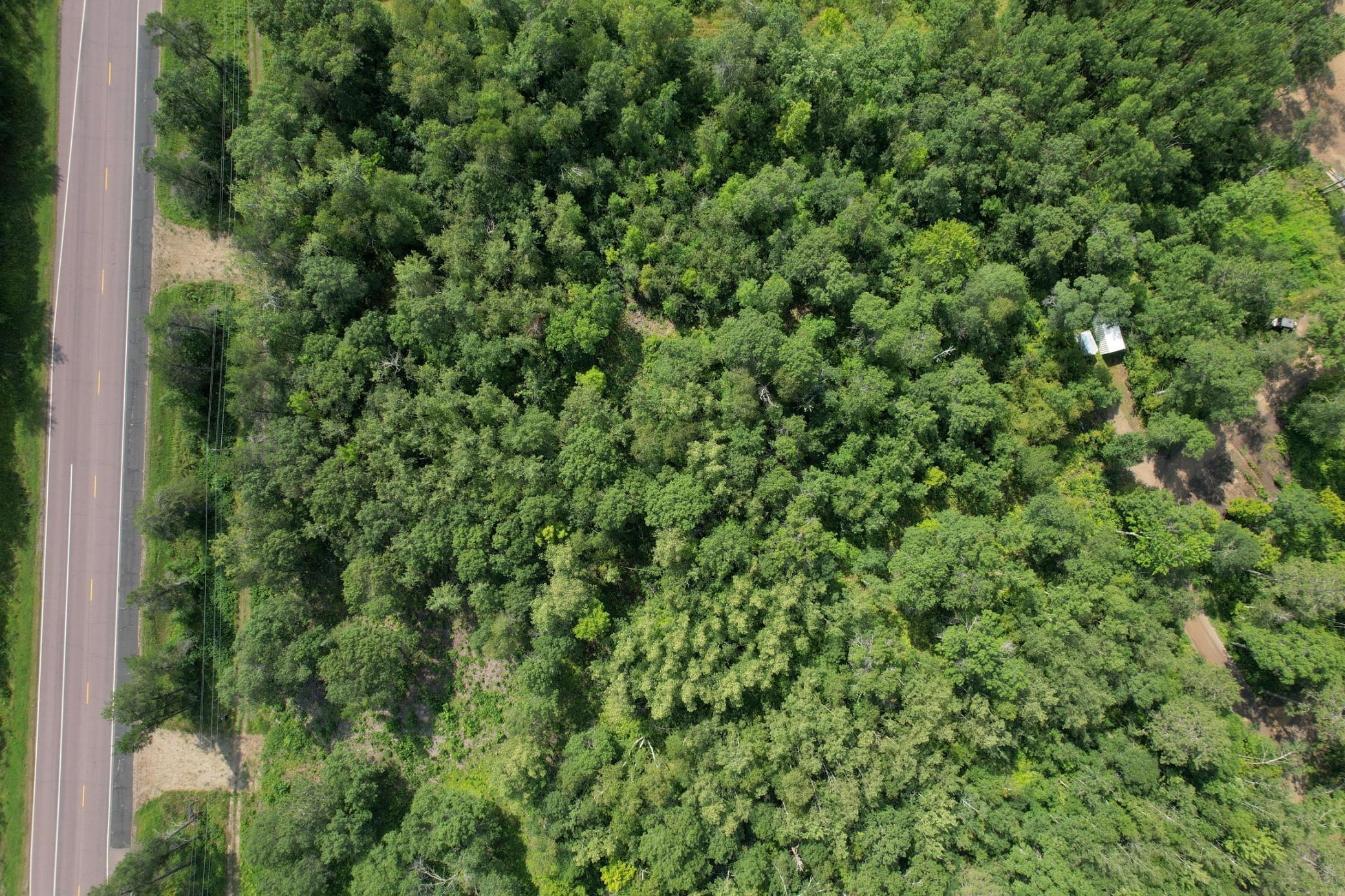 DJI_0447.JPG