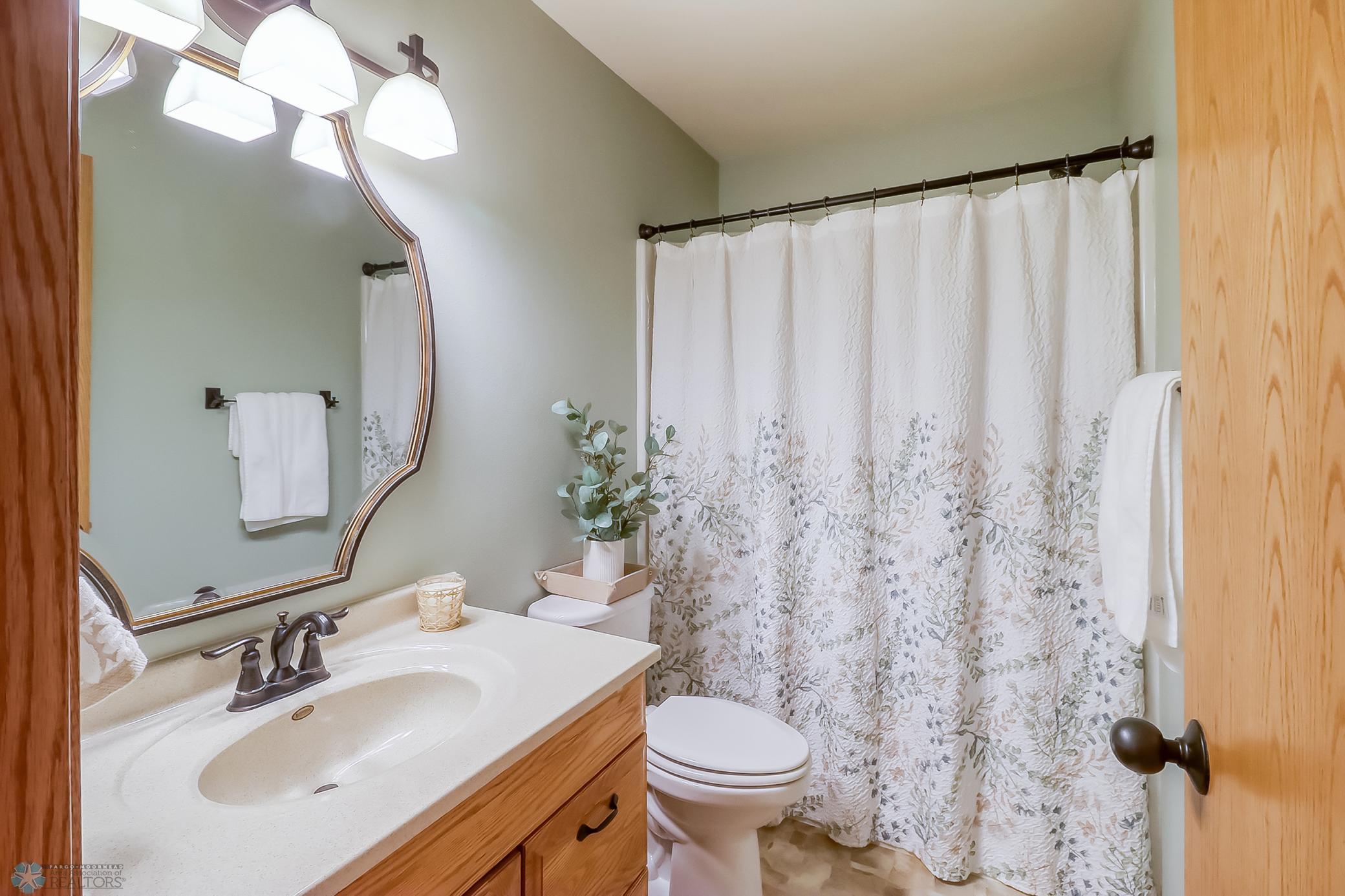 Lower level full bathroom