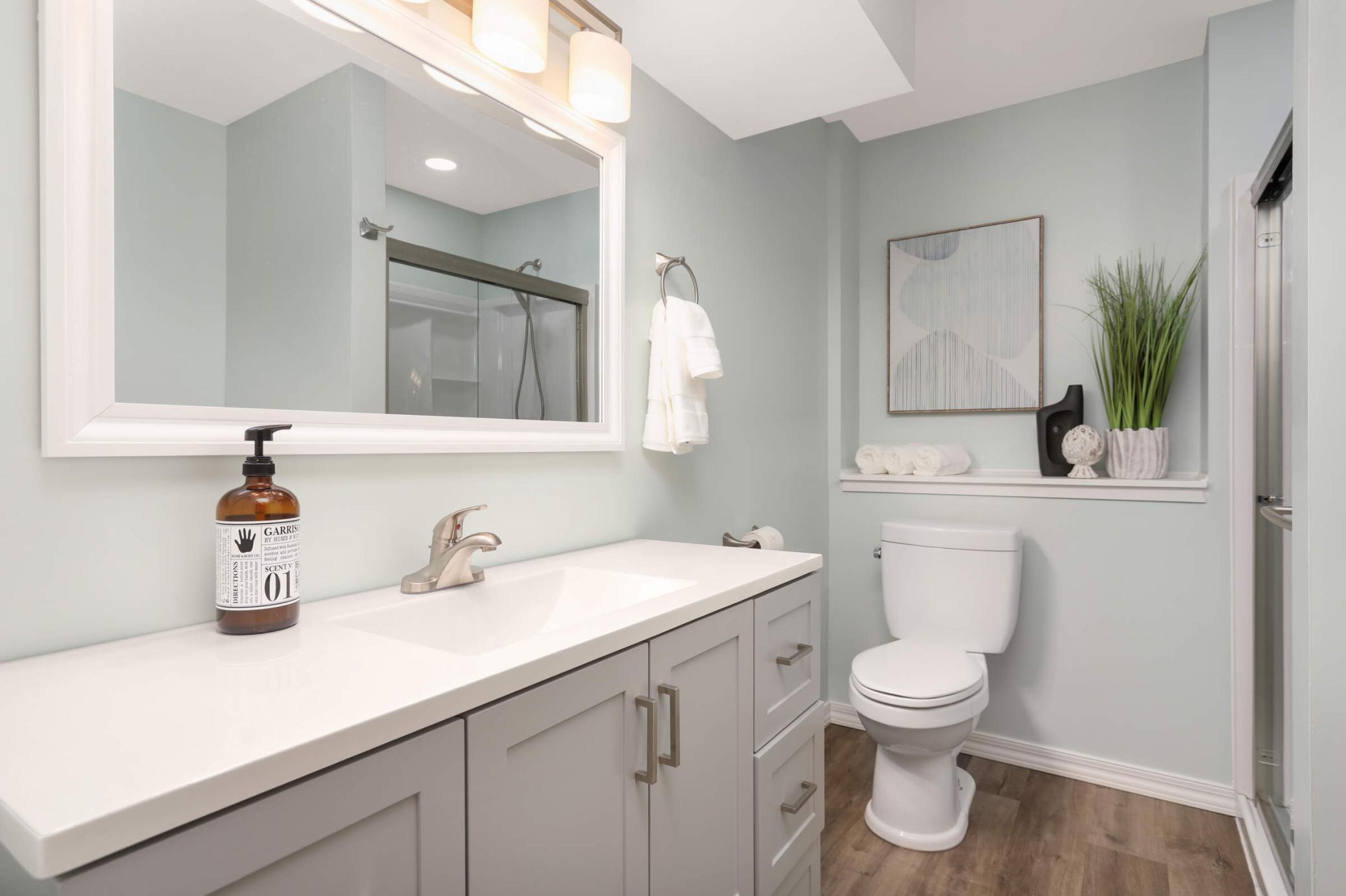 Lower level 3/4 bathroom