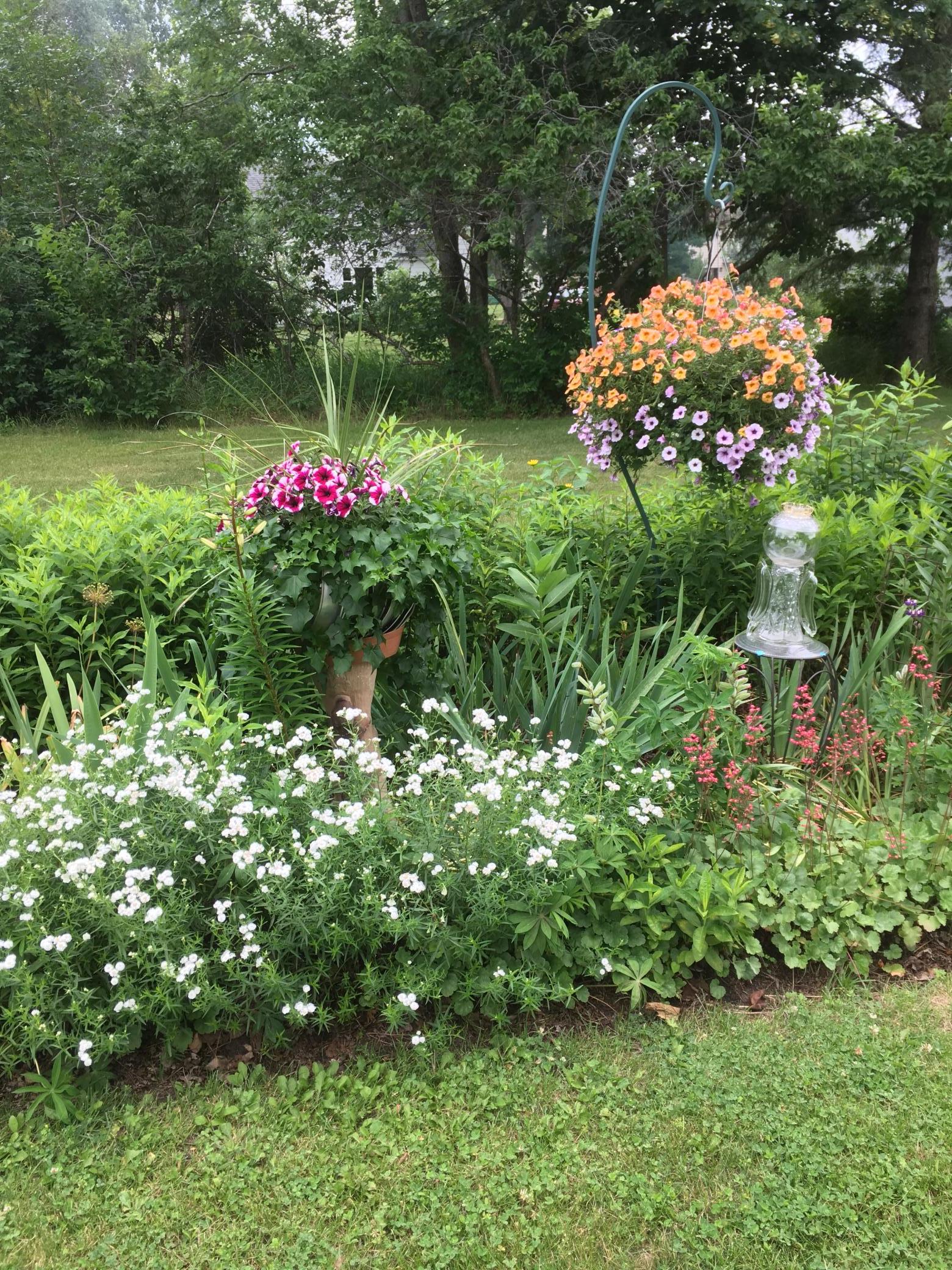 yard