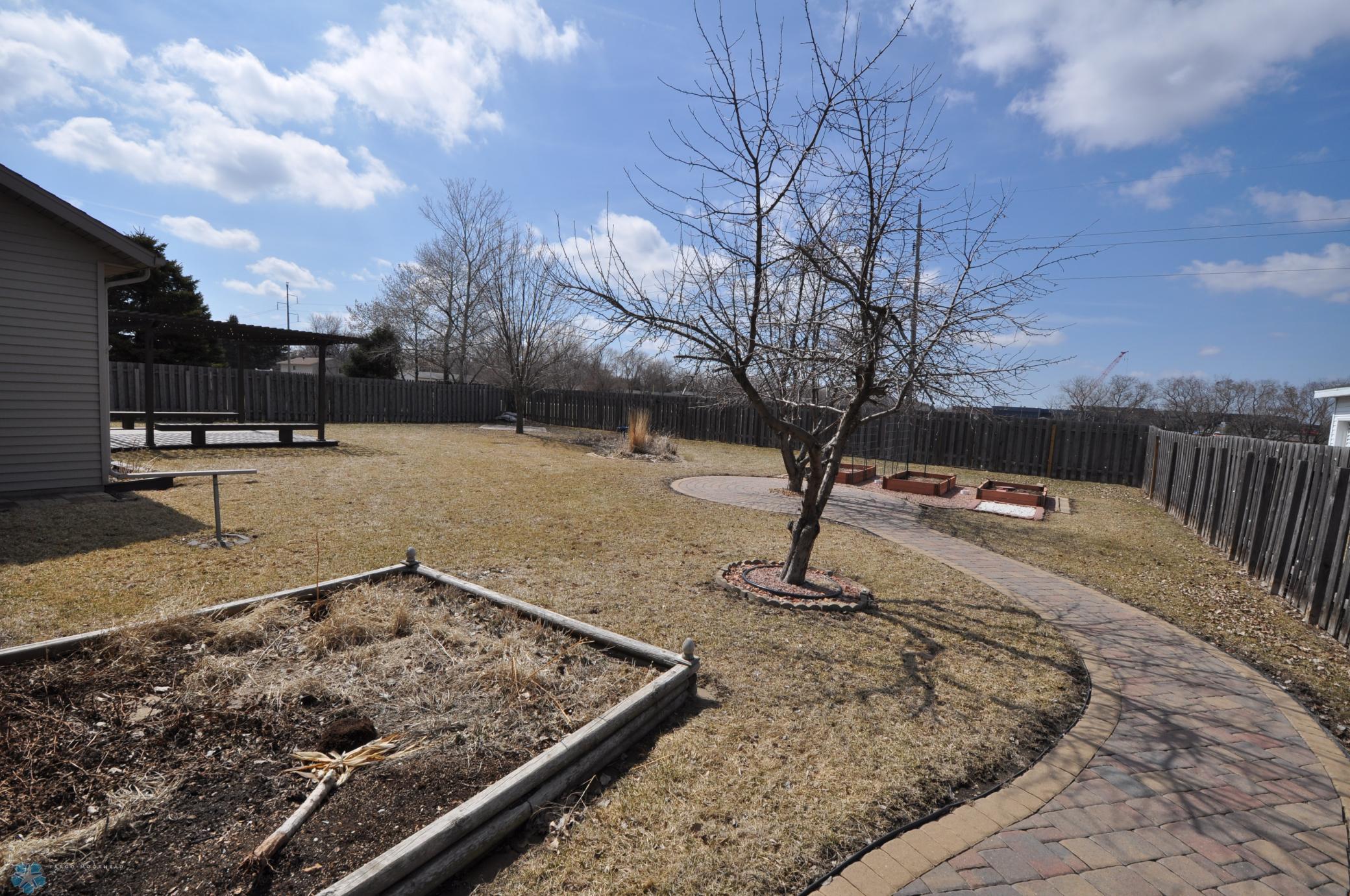 Back yard