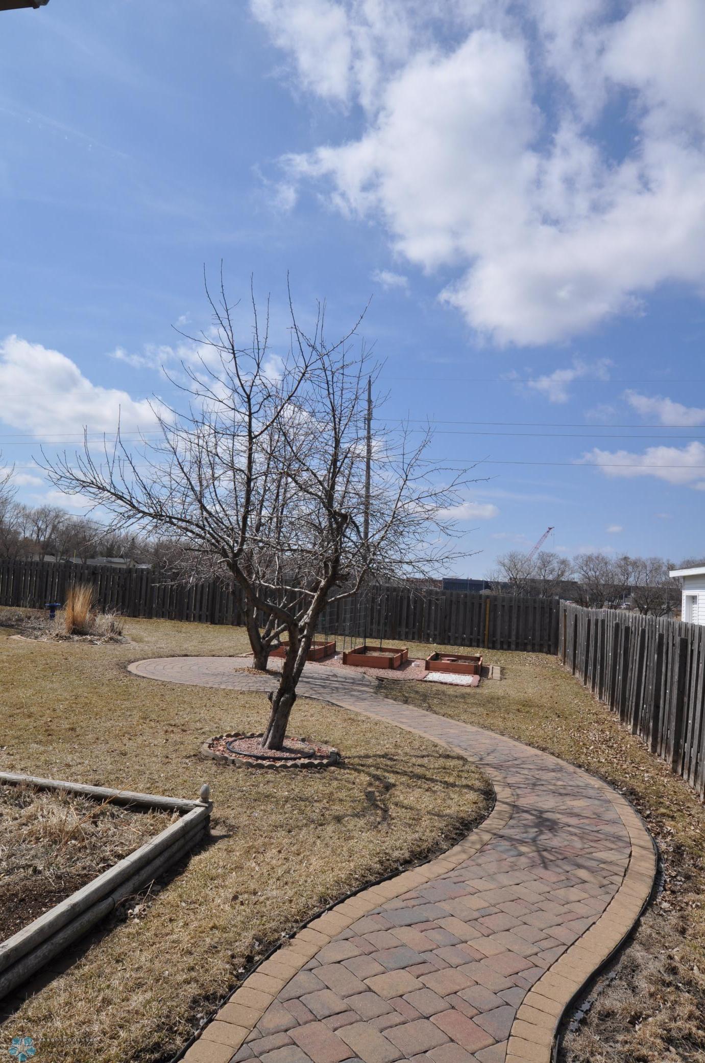 Back yard