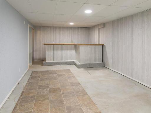 803 Headley Ct Northfield MN 55057 USA-018-014-Lower Level Family Room-MLS_Size.jpg