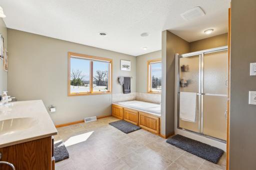 The primary bath has a separate shower and tub. Lovely windows!