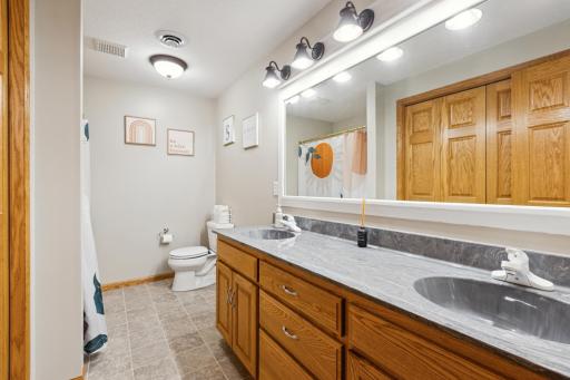 There is a full bath with double sinks in the lower level too! Everything about this property is amazing!