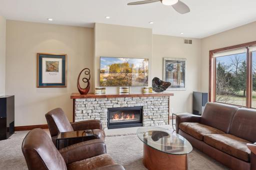 11075 Oak Shore Trail, Delano, MN 55328