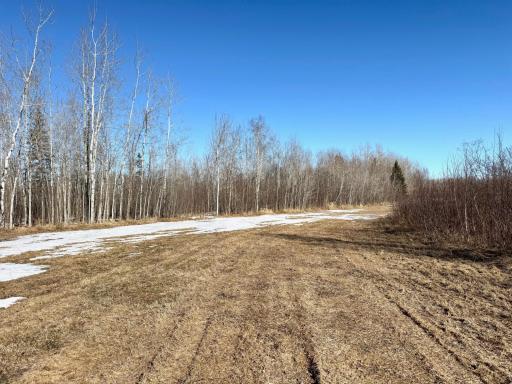 Photo for TBD Tangnes Forest Road, Roosevelt, MN 56673 - Listing #6695705 TBD Tangnes Forest Road, Roosevelt, MN 56673