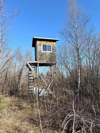 Photo for TBD Tangnes Forest Road, Roosevelt, MN 56673 - Listing #6695705 TBD Tangnes Forest Road, Roosevelt, MN 56673