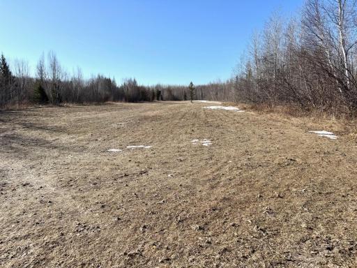 Photo for TBD Tangnes Forest Road, Roosevelt, MN 56673 - Listing #6695705 TBD Tangnes Forest Road, Roosevelt, MN 56673
