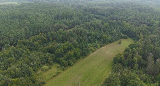 Photo for TBD Tangnes Forest Road, Roosevelt, MN 56673 - Listing #6695705 TBD Tangnes Forest Road, Roosevelt, MN 56673
